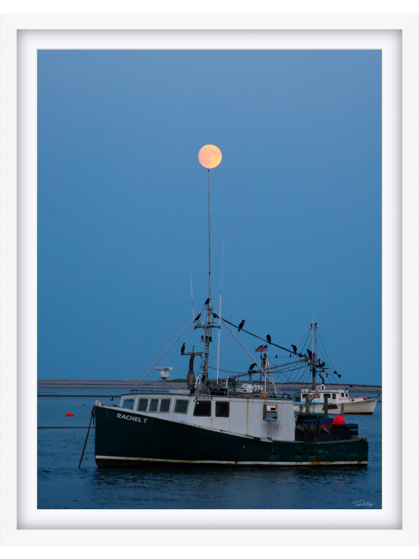 Full Harvest Moon Over Rachel T