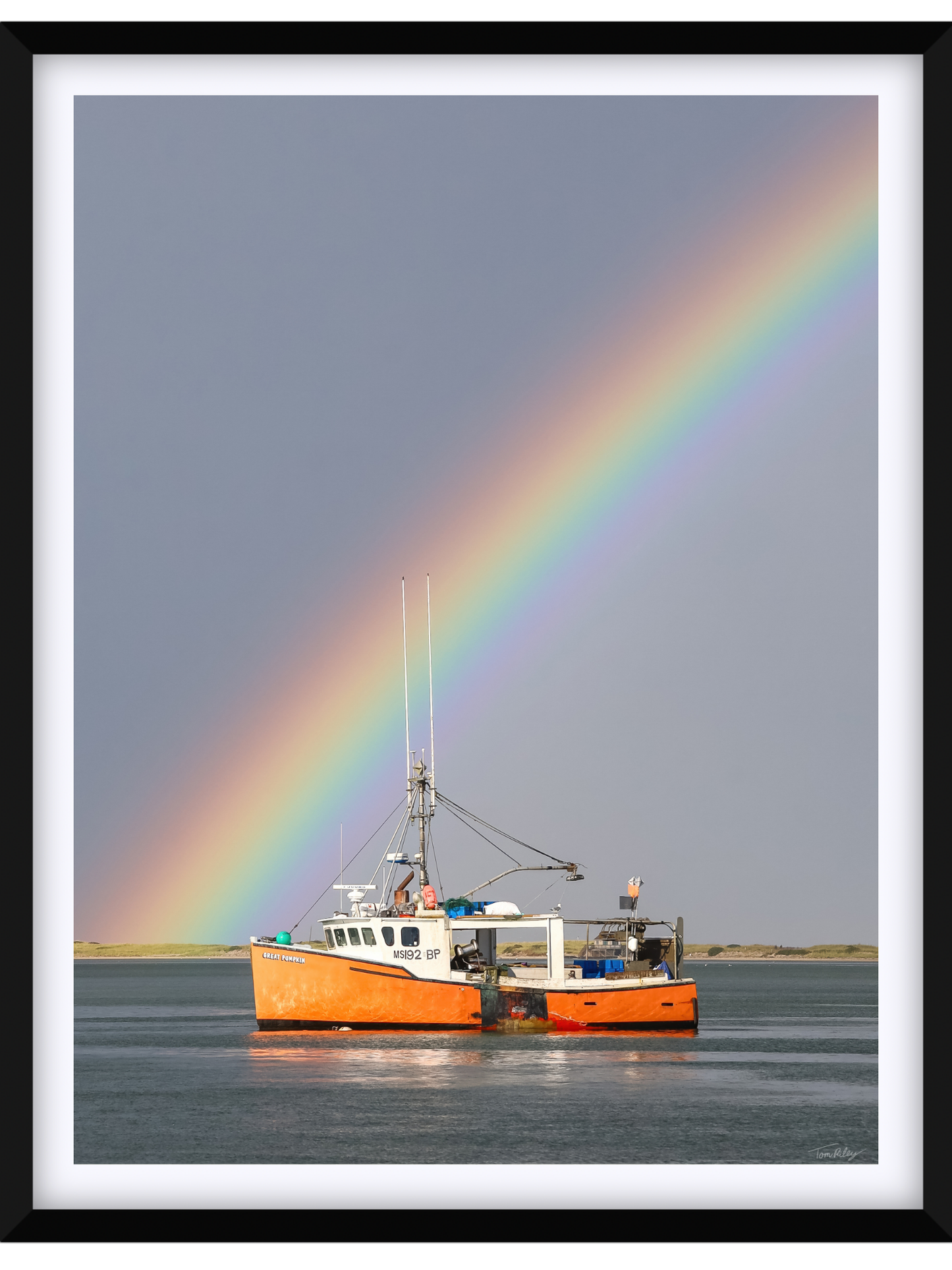 Great Pumpkin Rainbow 2025