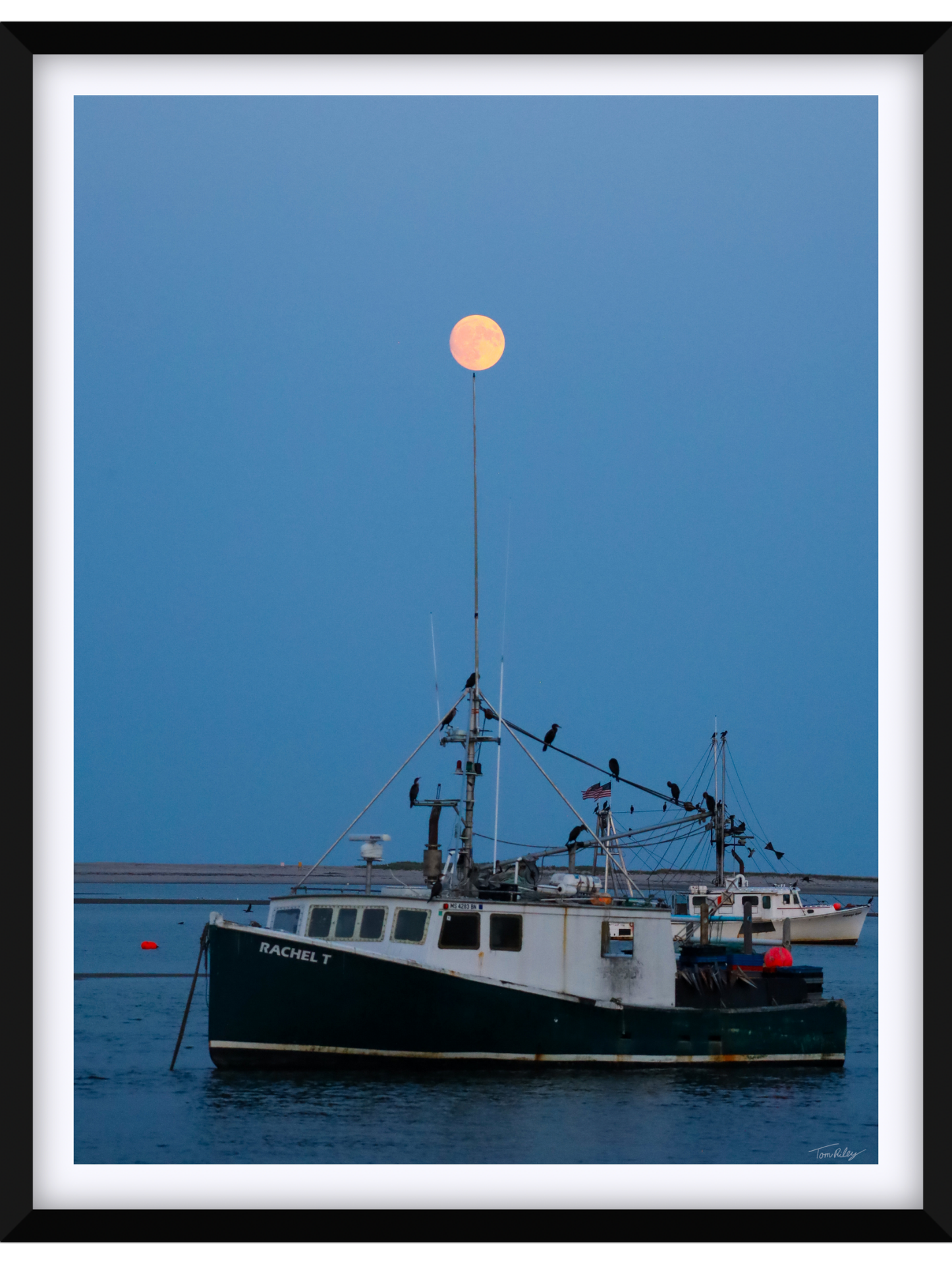 Full Harvest Moon Over Rachel T