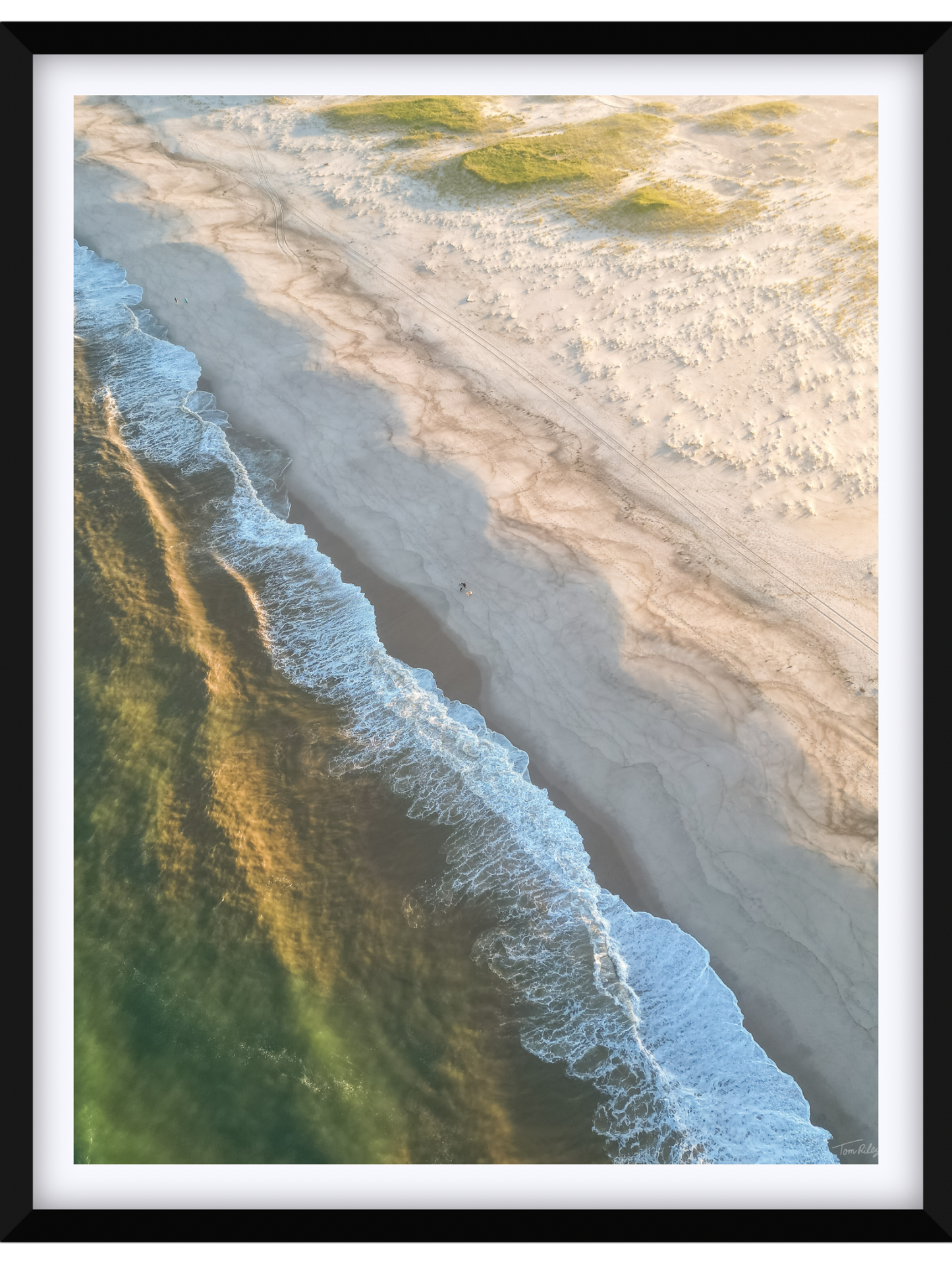 Nauset Walk