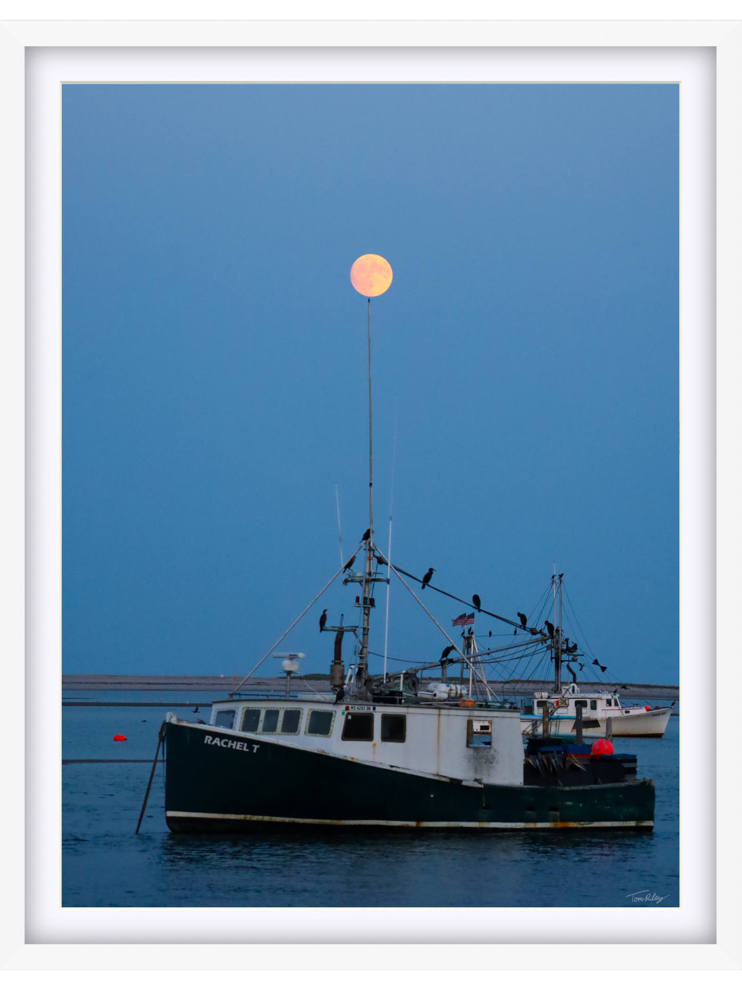 Full Harvest Moon Over Rachel T