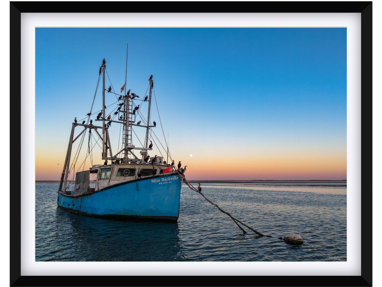 Miss Rockville Moonrise