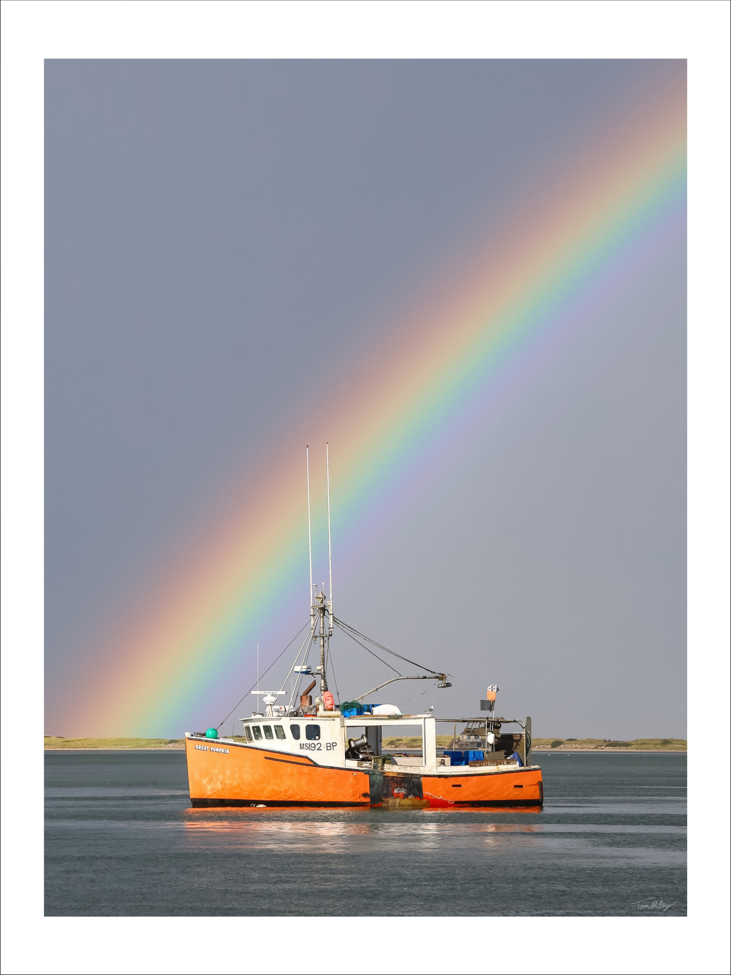 Great Pumpkin Rainbow 2025