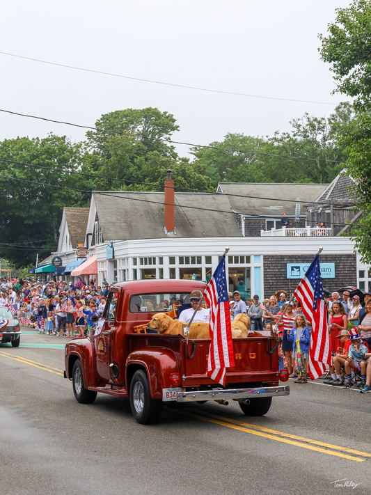 Goldens on the 4th
