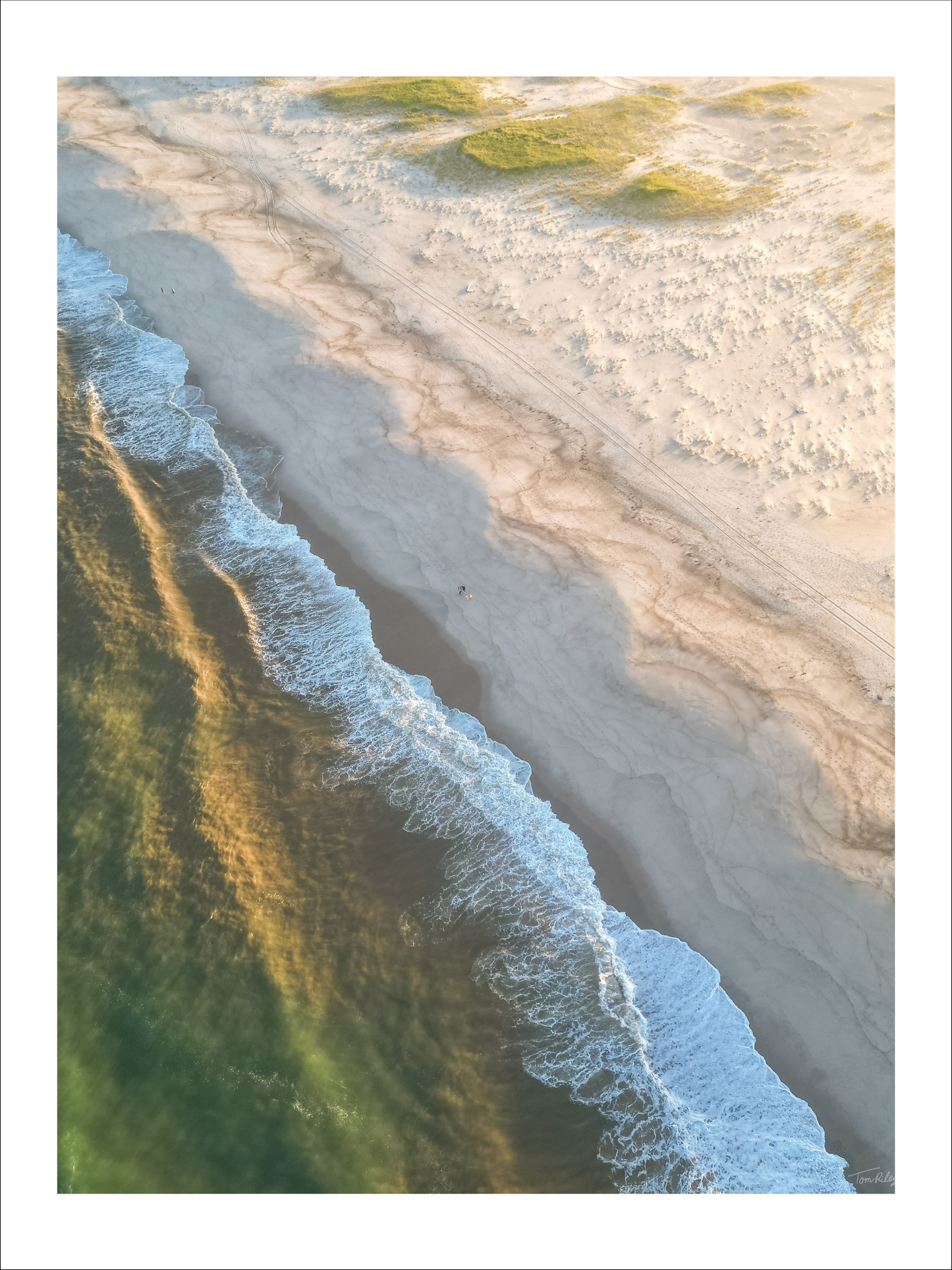 Nauset Walk