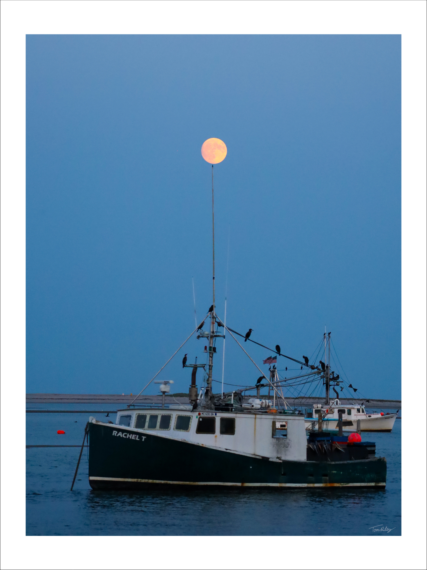 Full Harvest Moon Over Rachel T