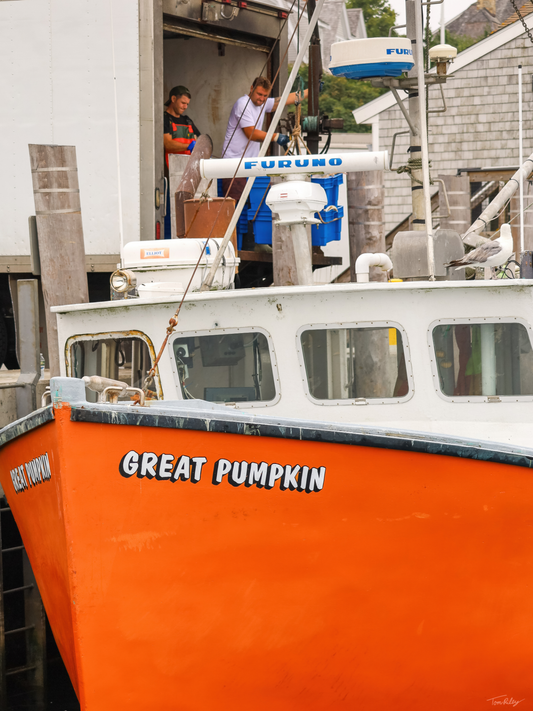 Pumpkin Unloading
