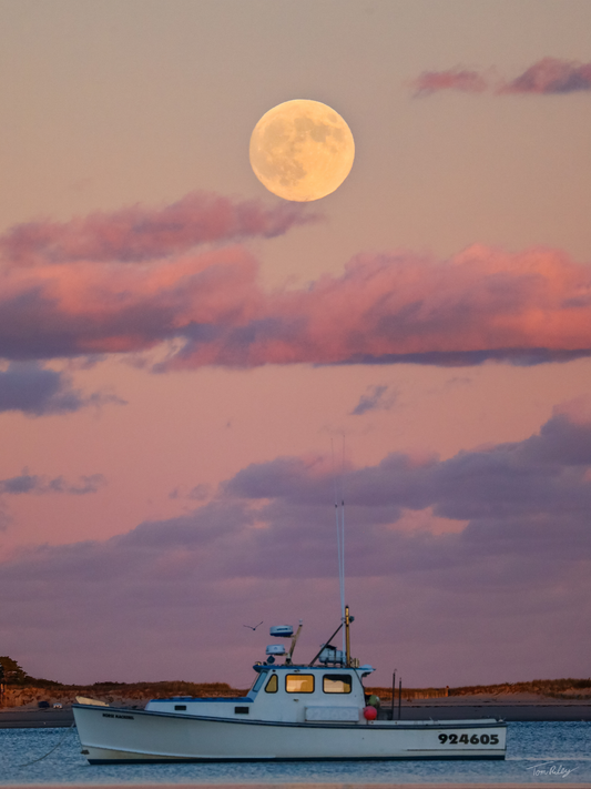 Hunter's Supermoon Rising