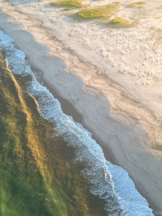 Nauset Walk