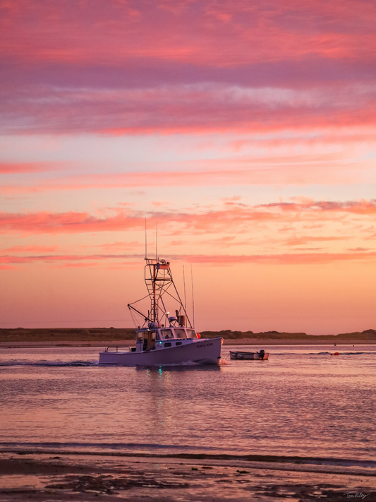 Alicia Ann at dawn