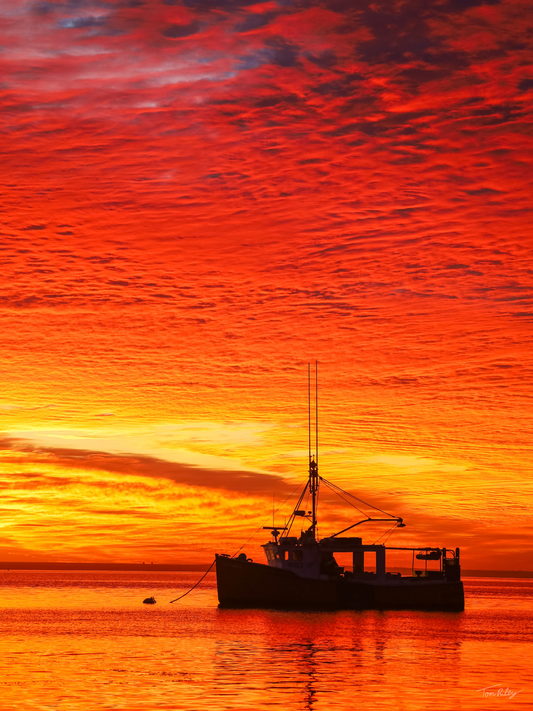 Great Pumpkin September Sunrise