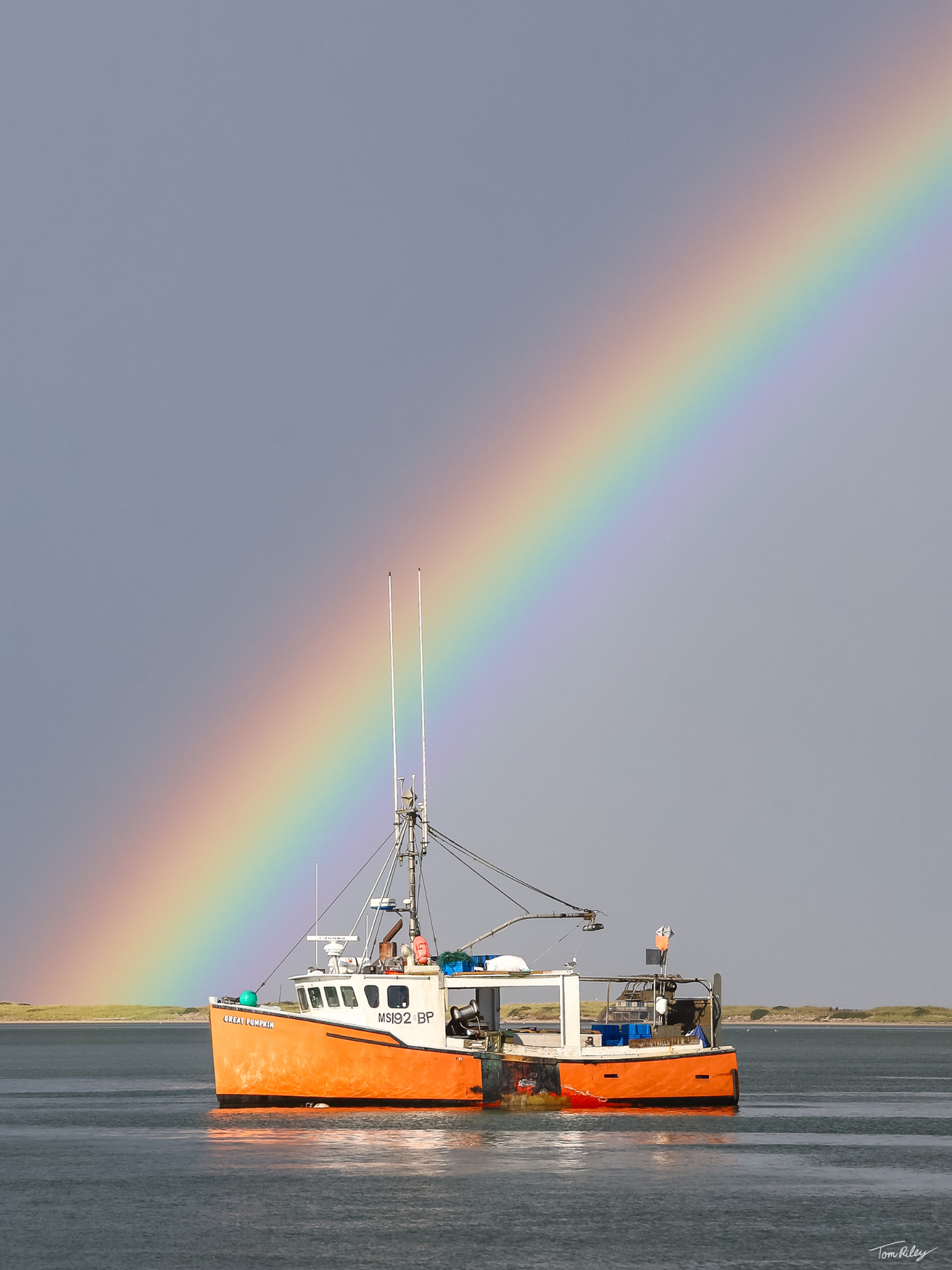Pumpkin Rainbow II