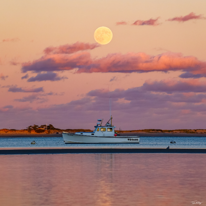 Horse Mackerel Supermoon