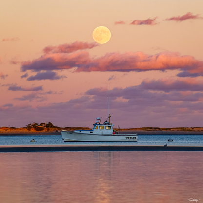Horse Mackerel Supermoon
