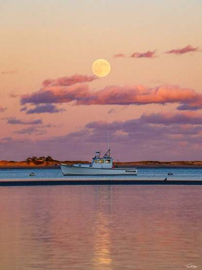 Horse Mackerel Supermoon