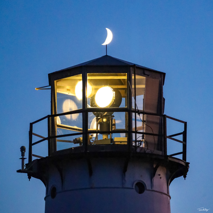 Night Light