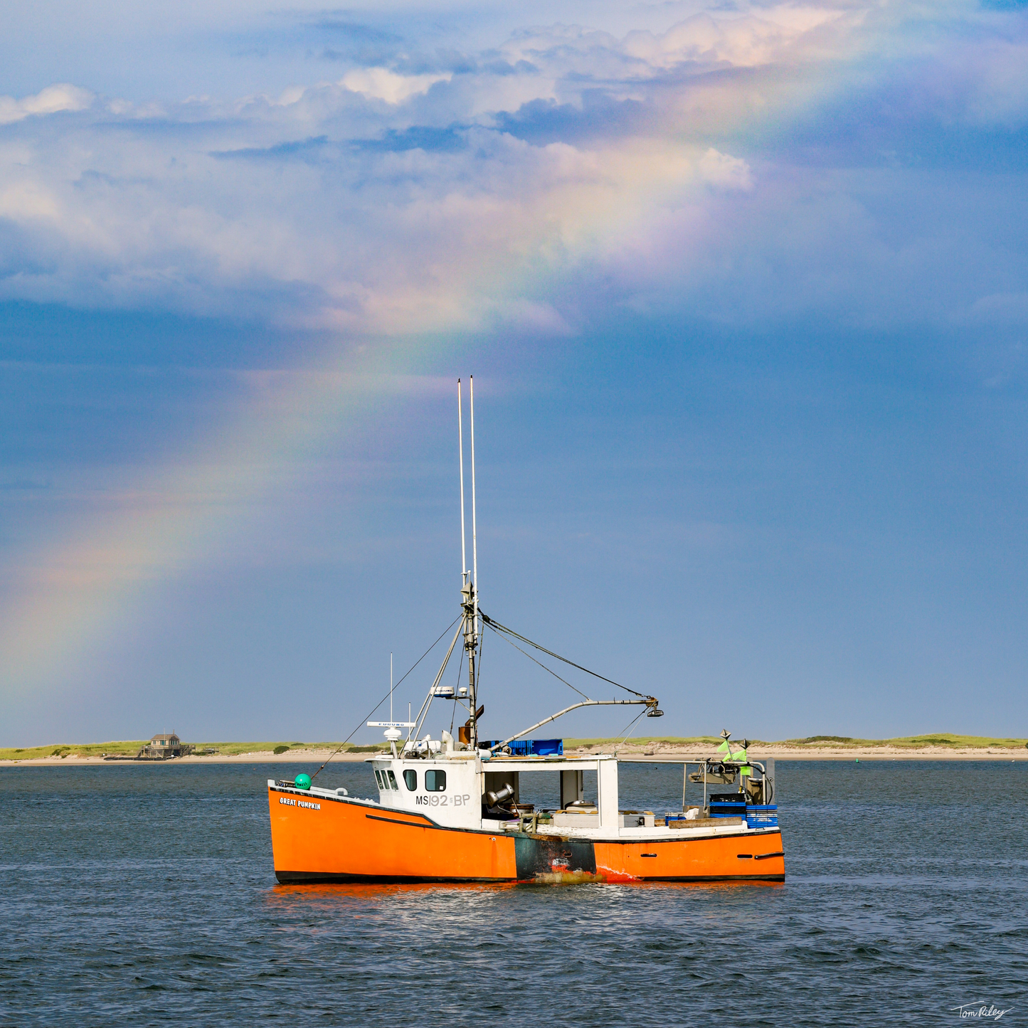 Pumpkin Rainbow