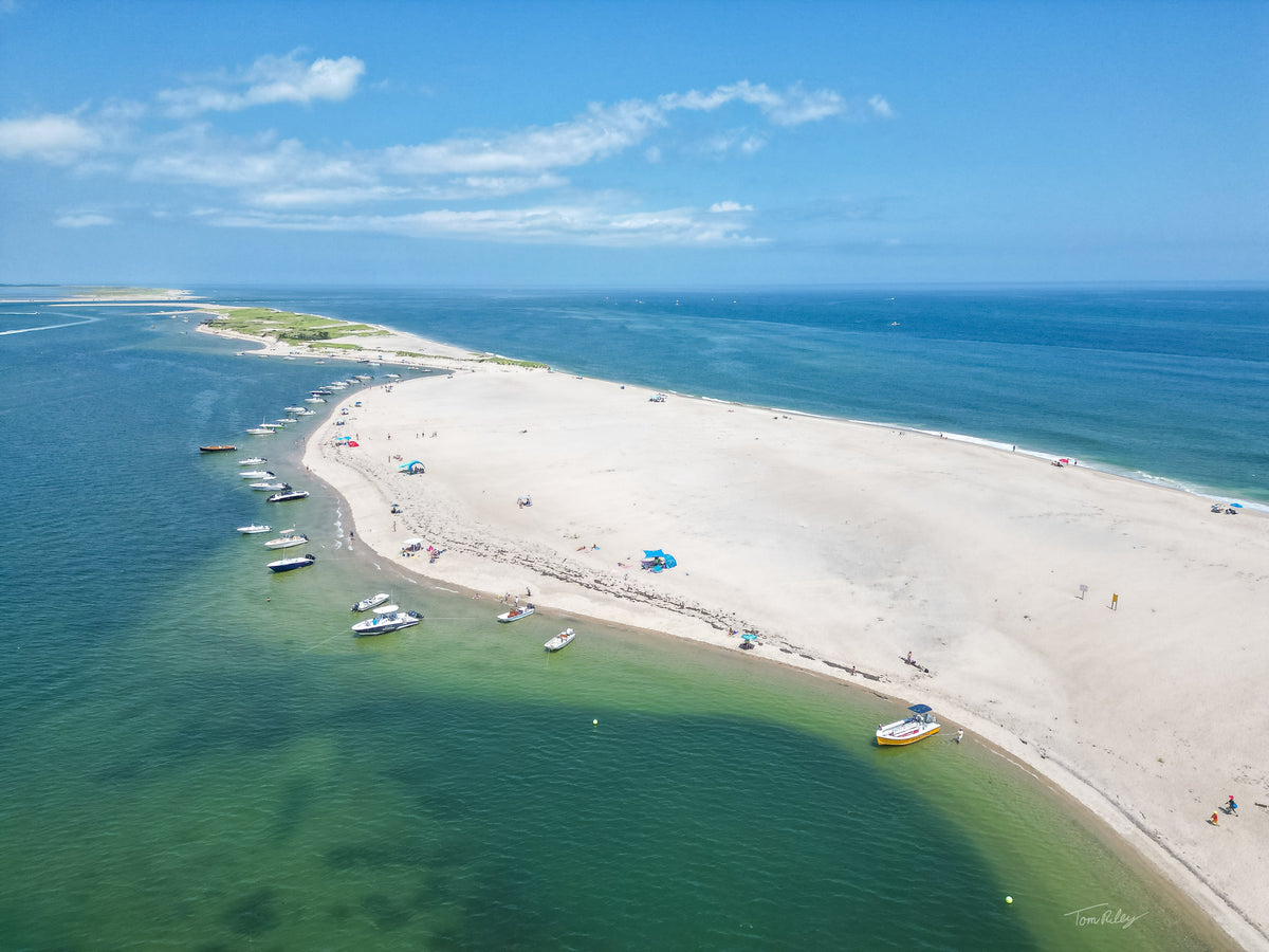 Tom's Cape Cod – Tom's Cape Cod